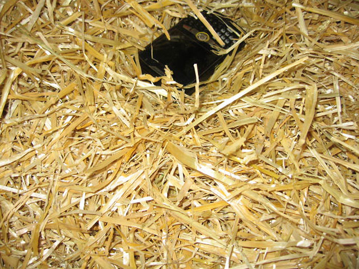 Eco Shavings- A Bedding Solution that’s Good for the Environment
