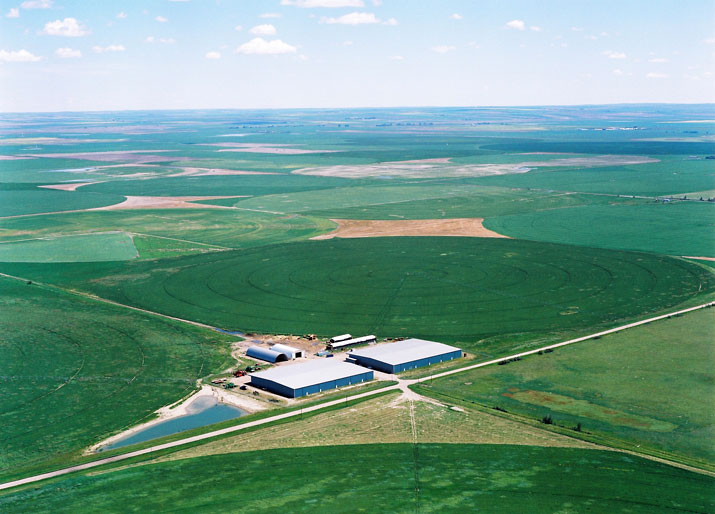 Plant 2 – Arrowwood AB