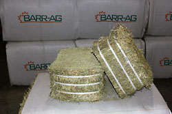 30kg half cut bale