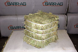40kg mini bale