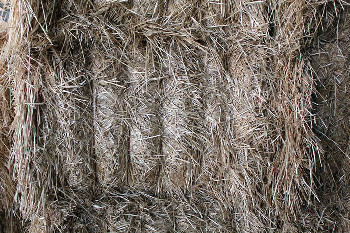 Straw