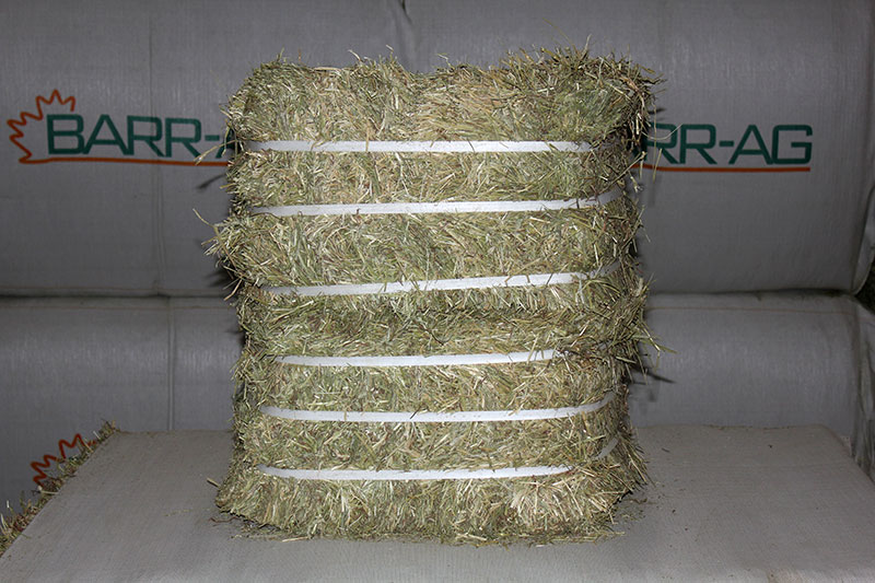 60kg full bale